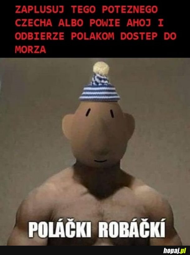  Czesi