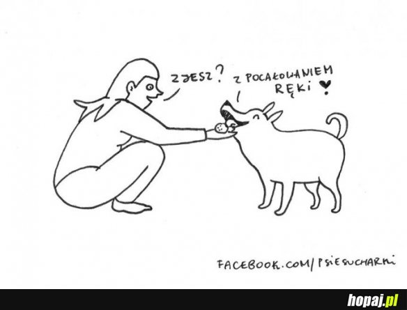 Pieseł taki jest