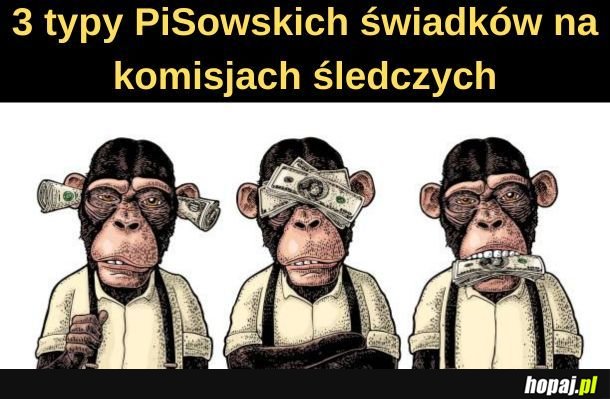 Świadkowie. 