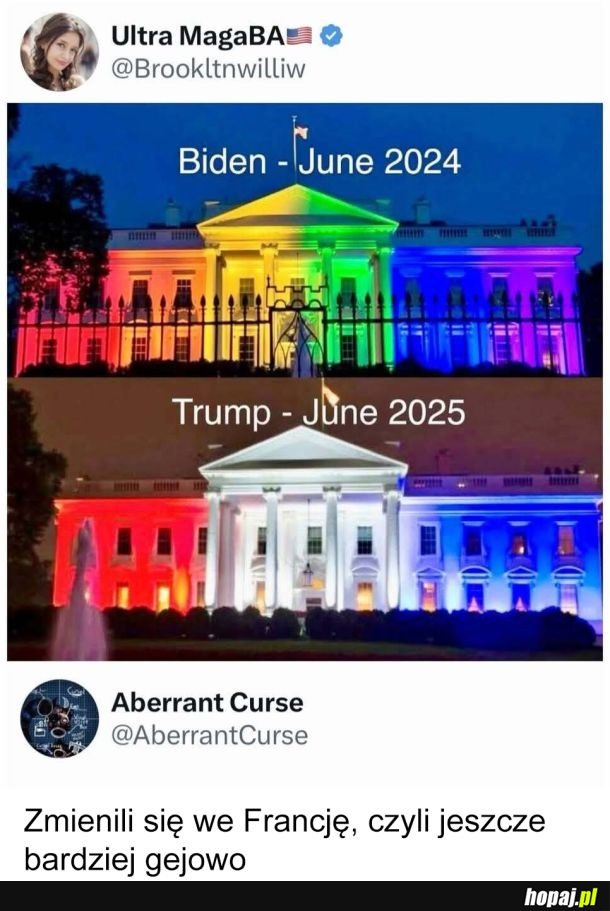 Make America France Again