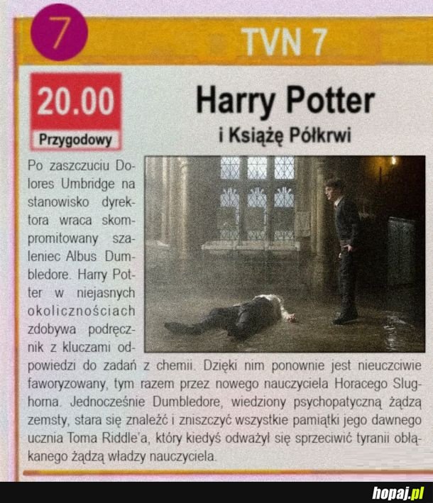 Opis napisany przez Śmierciożerców