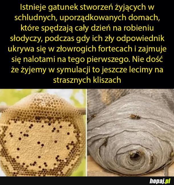 Kiepski scenariusz