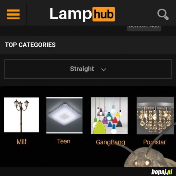 Lamphub