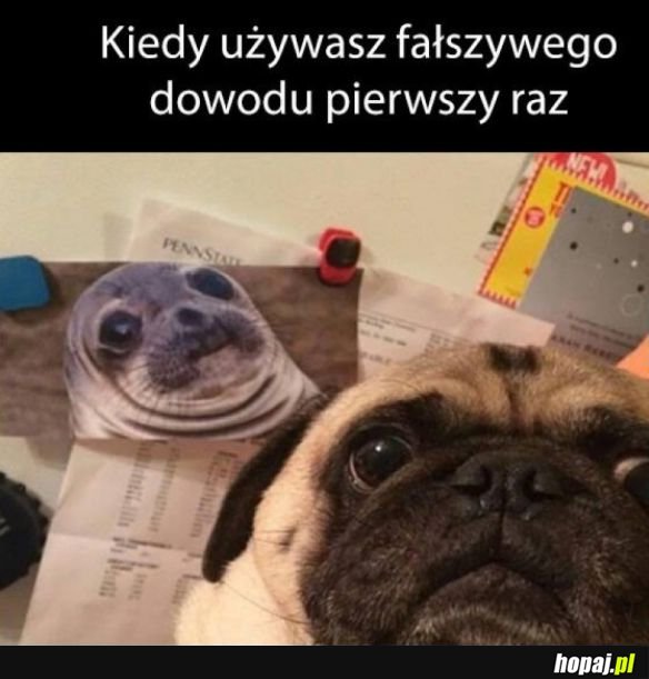 Fałszywy dowód