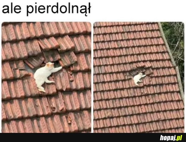 Z nieba spadł