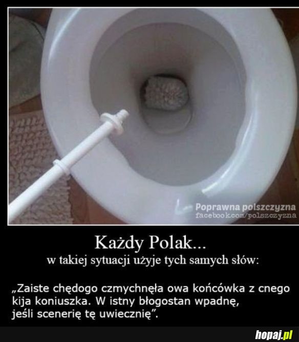 KAŻDY POLAK