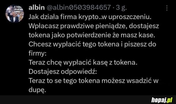 Krypto - schemat działania