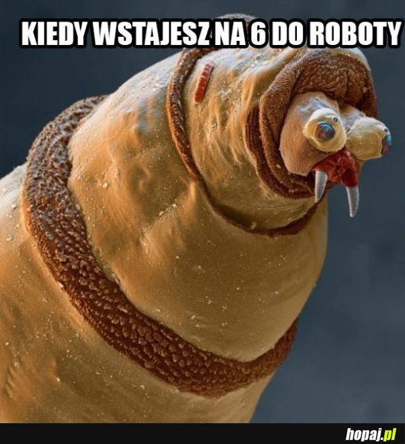 Ciężko jest