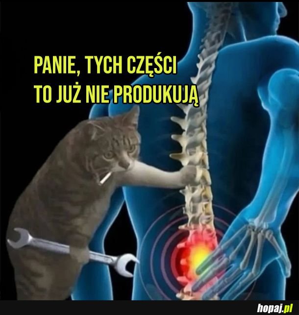Tu się nic nie da zrobić