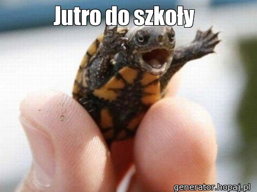 Jutro do szkoły 