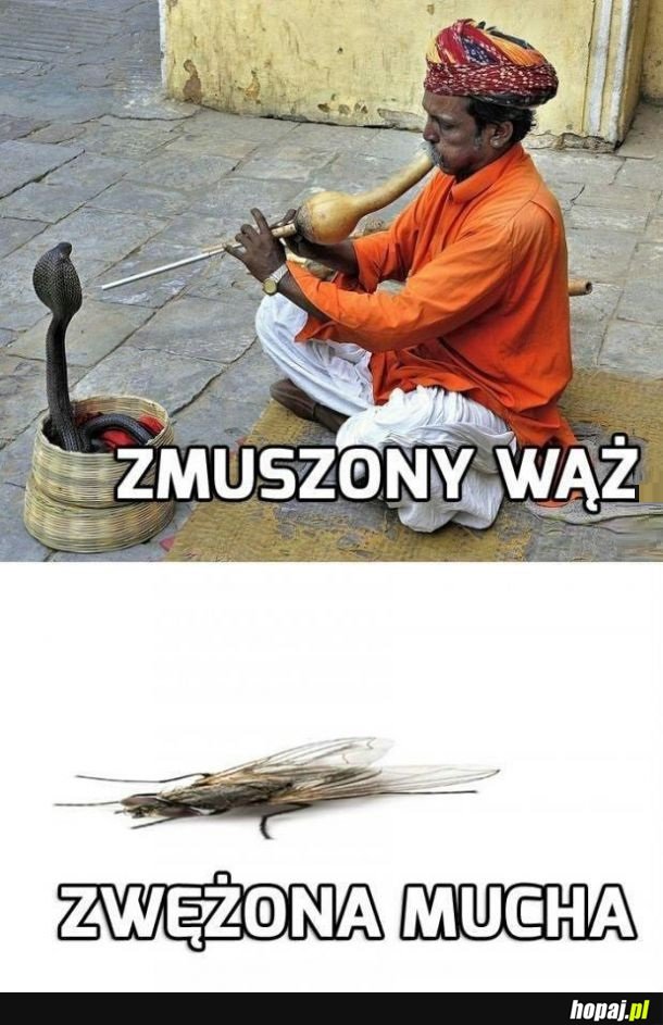 Klasyczne harce językowe