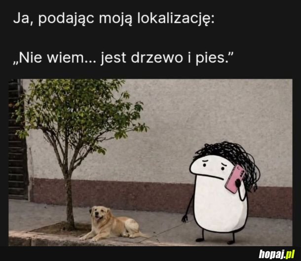 Moja lokalizacja