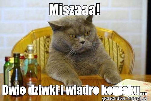 Miszaaa!