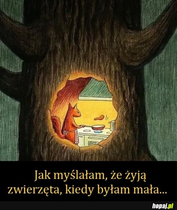 Wy też?