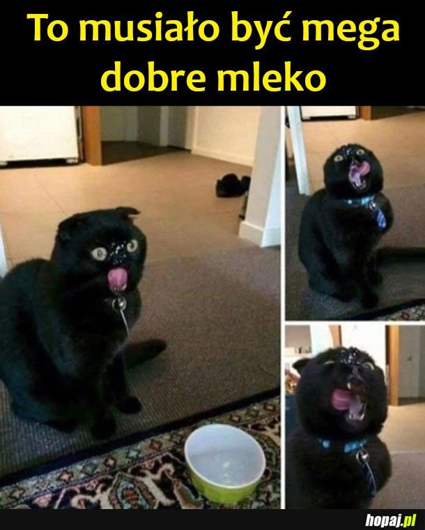 Ale dobre