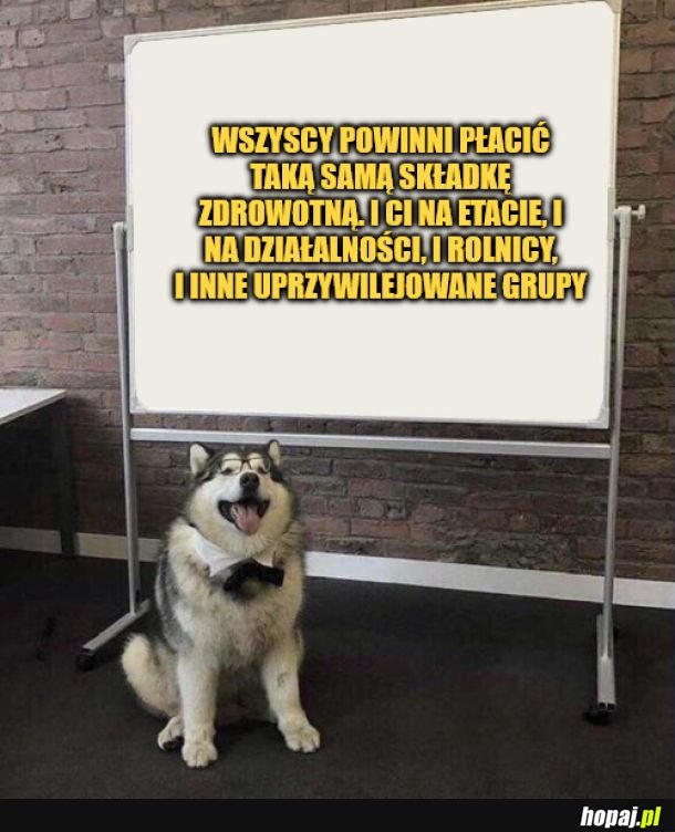 Dokładnie