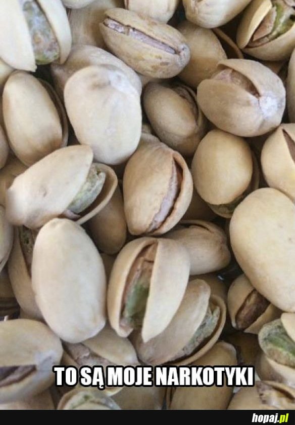 Pistacje