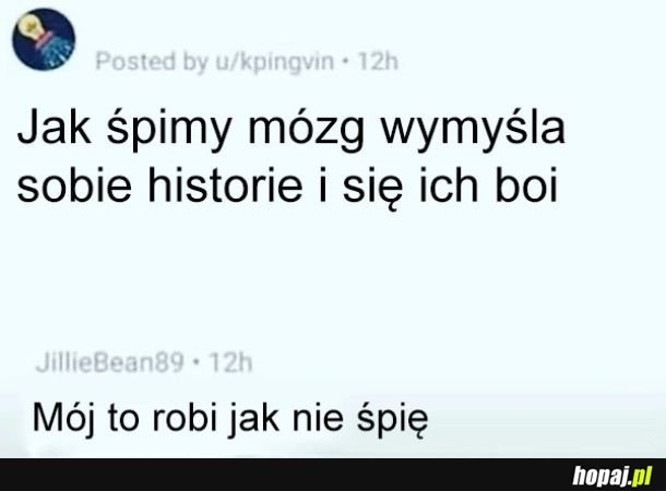 Mój mózg