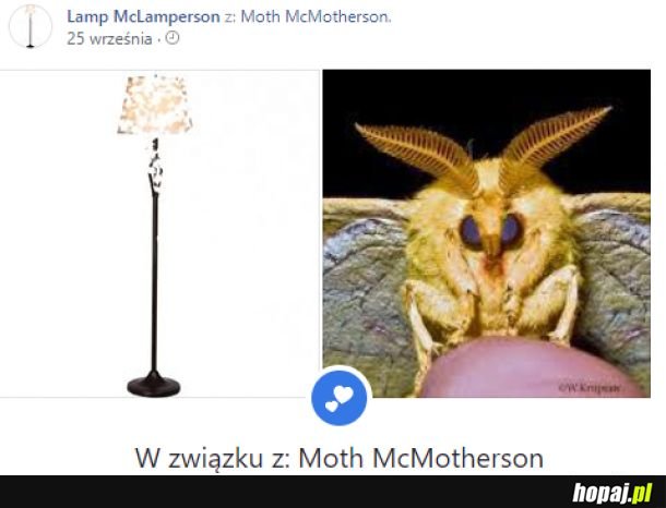 ćma