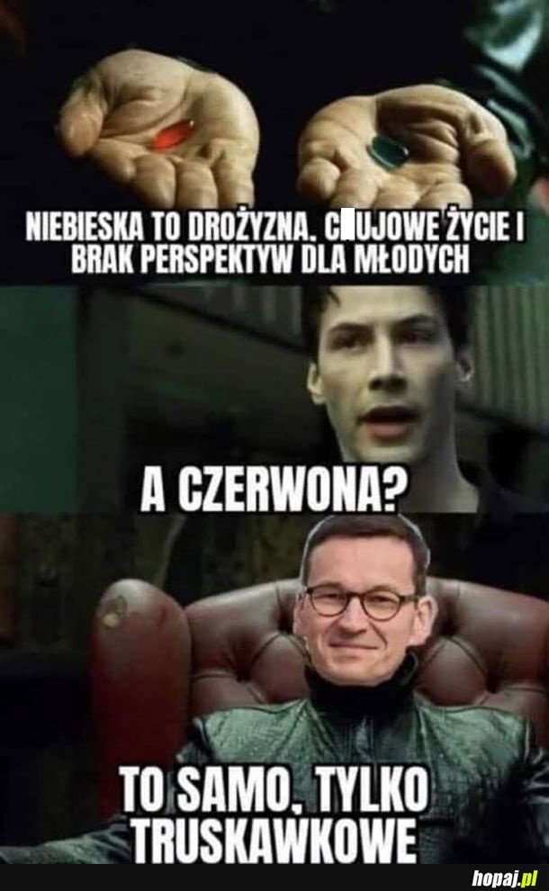 Matołusz - Witaj w Polsce, Neo!