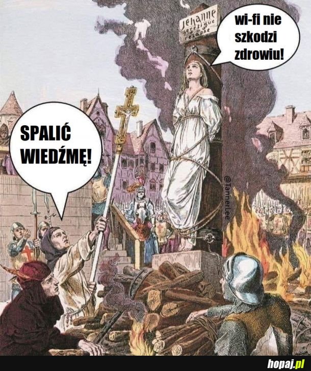 Dożynki w Kraśniku