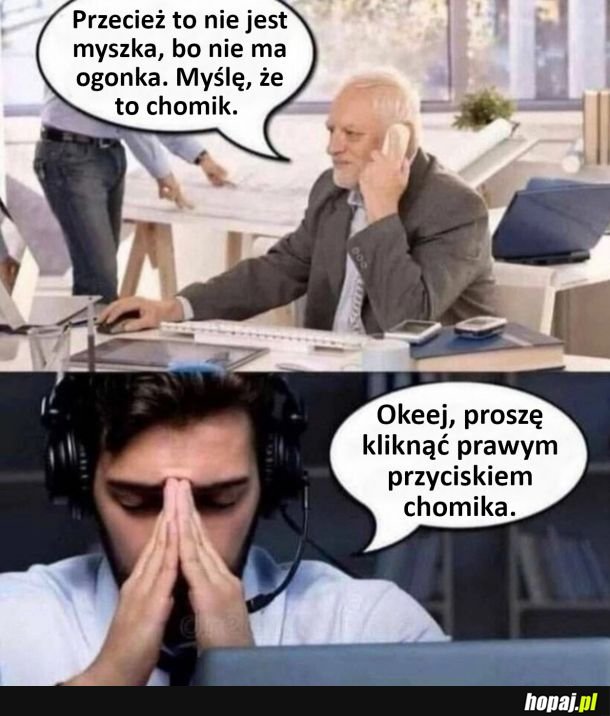 Myszka bez ogonka