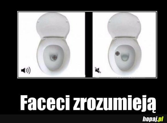 Rozumieją