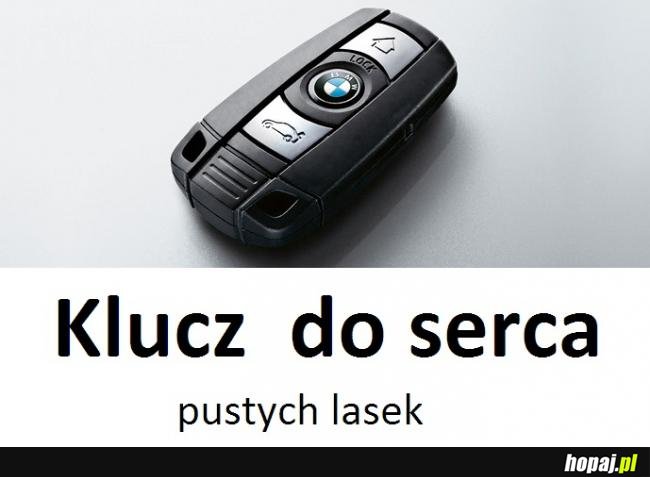 Klucz do serca pustych lasek