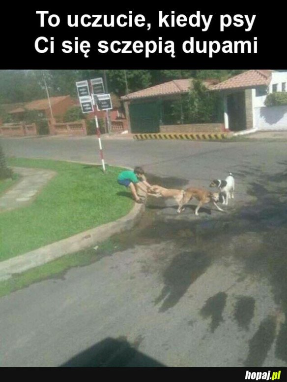 TEN UCZUĆ