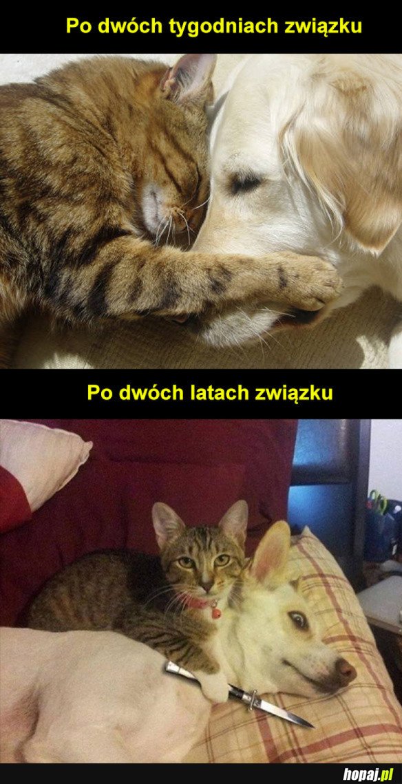 Związki