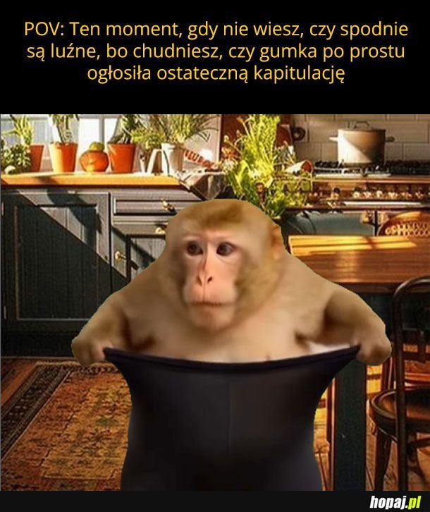 I tak dobrze znam odpowiedź