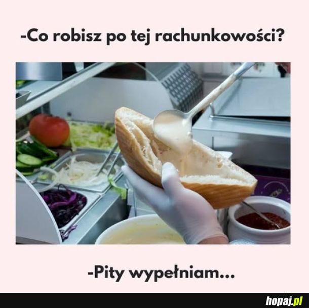 Studia