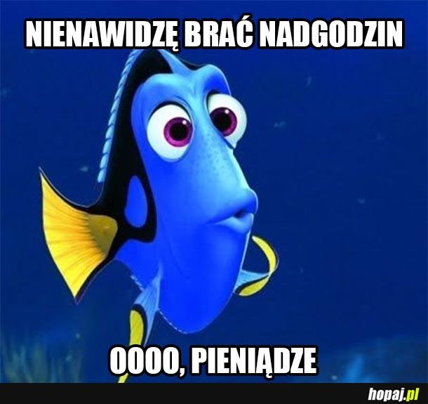 Moje życie w pigułce
