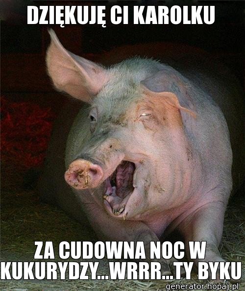 DZIĘKUJĘ CI KAROLKU