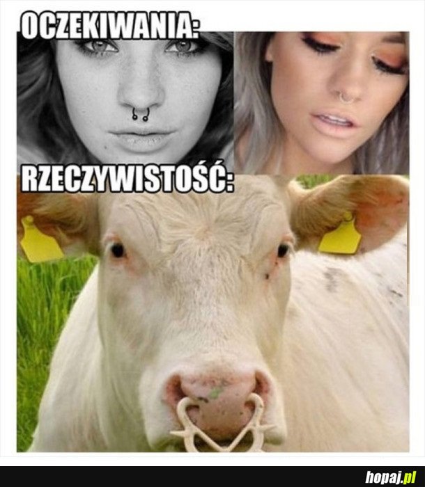 KOLCZYK W NOSIE- OCZEKIWANIA VS. RZECZYWISTOŚĆ