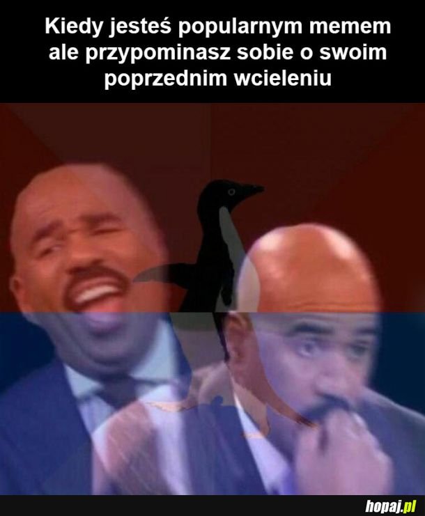 Poprzednie wcielenie