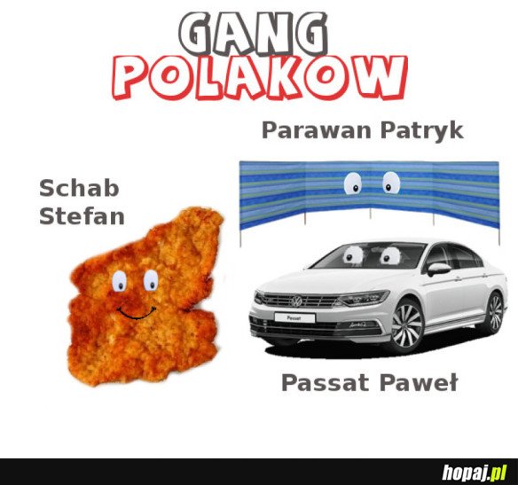GANG POLAKÓW