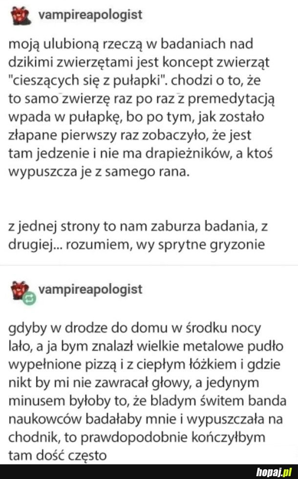 Normalka