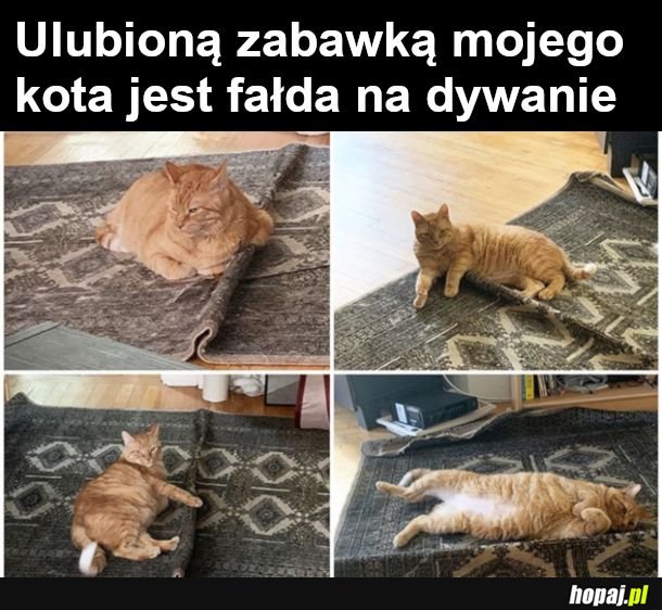  Najlepsze zabawki - nie marnuj pieniędzy 