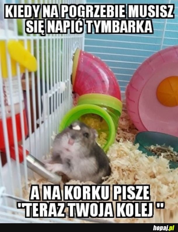 Kurde przypał
