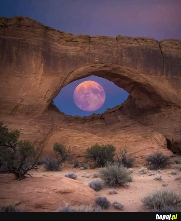 Zdjęcie zrobione w parku narodowym Arches w Utah