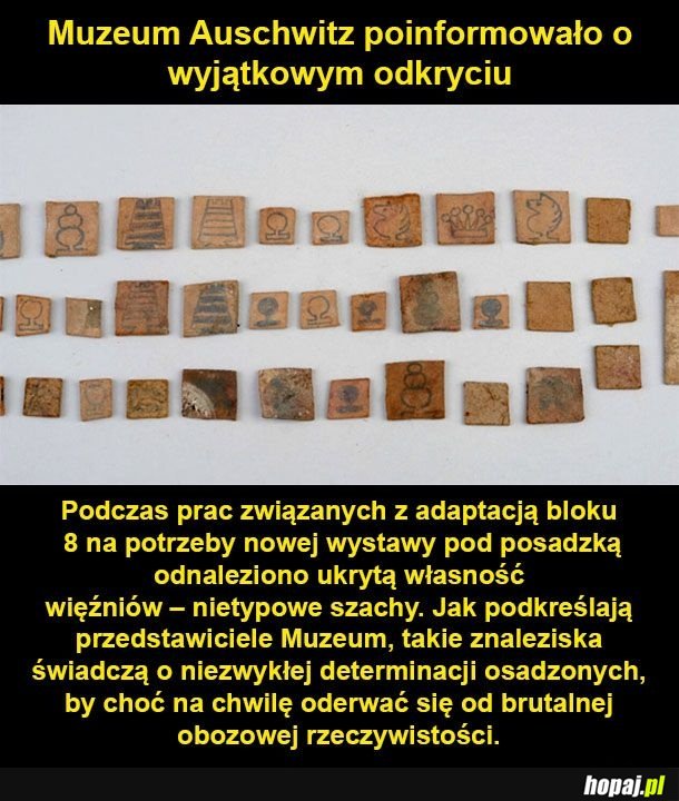Odkrycie w Auschwitz