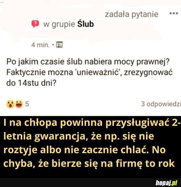 Wzięłabym ślub na firmę. Najlepiej na spółkę z o. o.