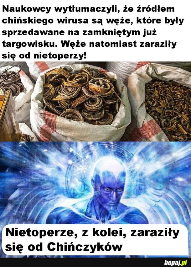 Po nitce do kłębka