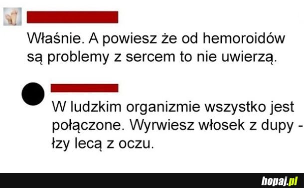 Wszystko połączone