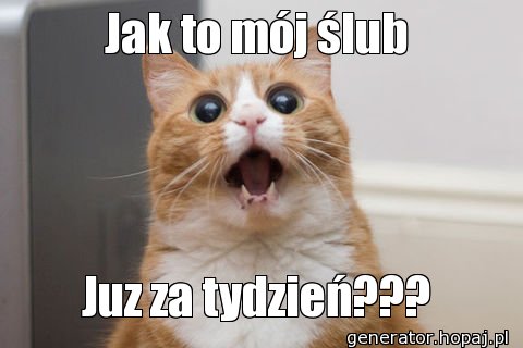 Jak to mój ślub