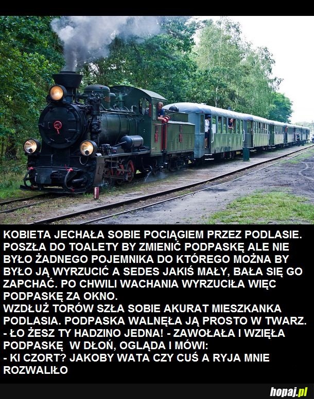 Przygody pani Jadźki z Podlasia