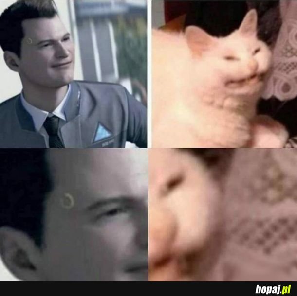 Detroit become cat