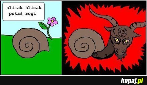 Ślimak ślimak pokaż rogi