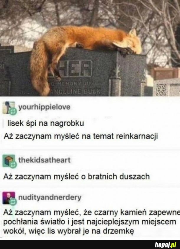Głębsze znaczenie